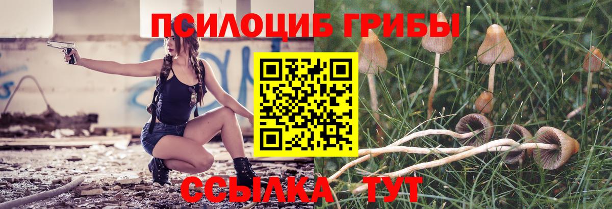 Галлюциногенные грибы ЛСД  Вход с VPN  Заречный 